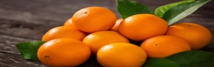 رشد 170 درصدی صادرات پرتقال