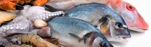 مجوز ورود ماهیان پرورشی به بازارهای روسیه صادر شود