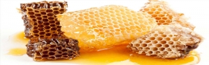 پیش بینی تولید 86 هزار تن عسل در سال جاری