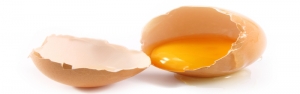 سرانه مصرف تخم مرغ در کشور به 250 عدد می رسد