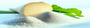 پیش‌بینی تولید یک میلیون و ۶۰۰ هزار تن شکر چغندرقندی در سال جاری