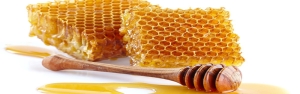 تولید ۱۳۶ هزار تن عسل براساس سرشماری امسال/ بیش از ۱۱.۵ میلیون کلنی زنبور عسل در کشور مستقر است