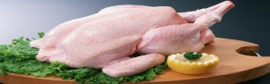 صادرات 45 هزارتن گوشت مرغ در هشت ماه امسال