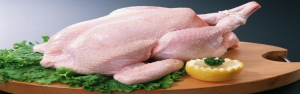 افت50 درصدی تقاضا قيمت مرغ را كاهش داد