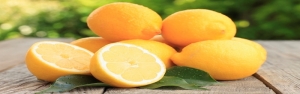 تولید نیم میلیون تن لیموترش در سال جاری/ تکذیب ورود لیموی قاچاق