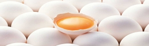 75 هزار و 500 تن تخم‌مرغ صادر شد/ افزایش تقاضای صادرات