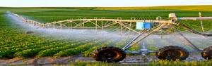 سامانه‌های نوین آبیاری در ۲.۴ میلیون هکتار اراضی کشاورزی اجرایی شد