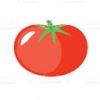 دانستنی های گوجه فرنگی